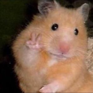 Meet your Posher, Thy